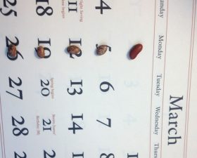 a calendar of march showing red beans on top of every monday of the month