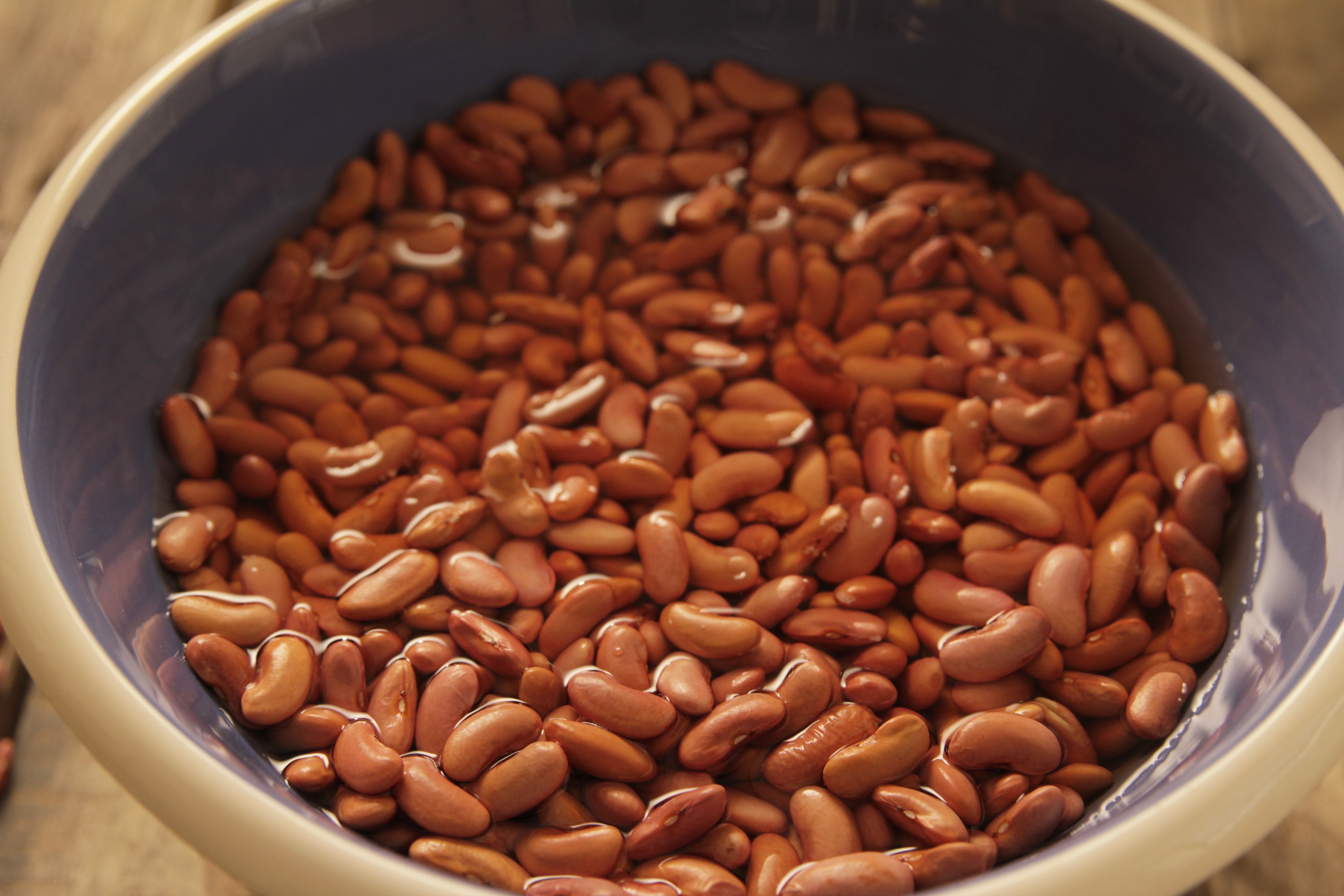 Red Beans after soaking :: attachment :: Camellia Brand